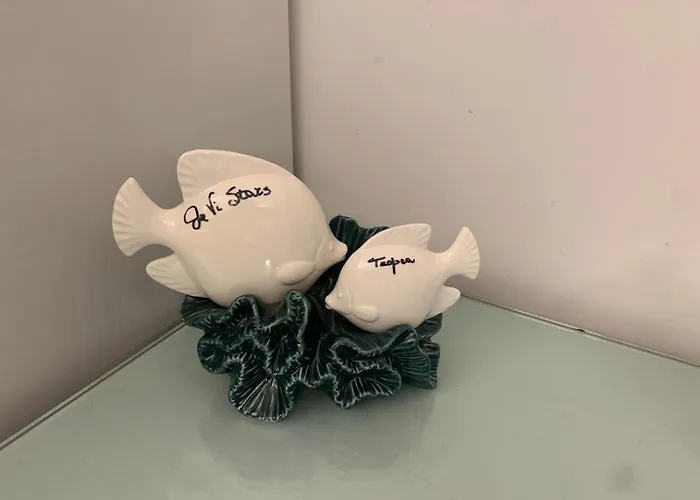 Jevi Stars טרופאה